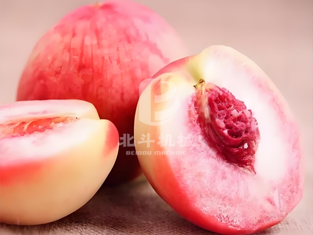 5328519a-5957-4c76-81da-4ac8e1d10219 (1)_.jpg